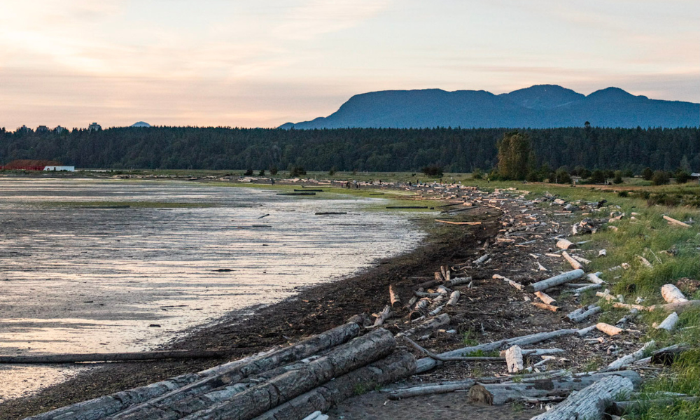 New Life for Rare Ecosystems