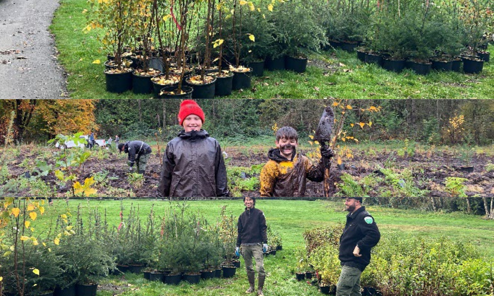 Sedge Field Restoration at Aldergrove Regional Park